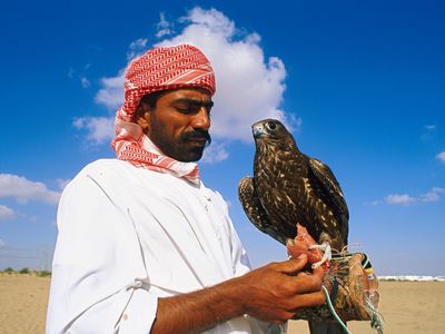 This man living in Dubai would need proper documentation if his bird is to fly — on an airplane, that is