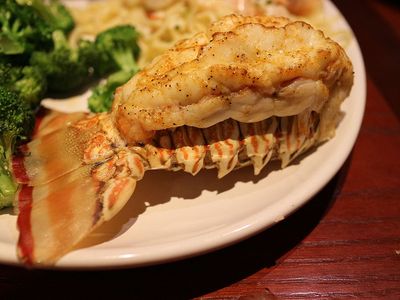 Rock lobster tail at a Red Lobster