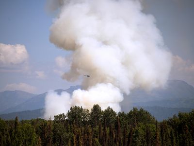 Smoke rises from a wildfire in the summer of 2019 near Talkeetna, Alaska. 