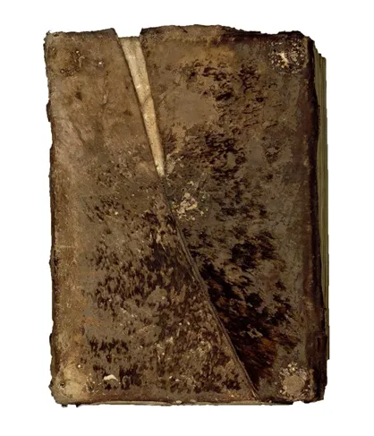 Brown book cover