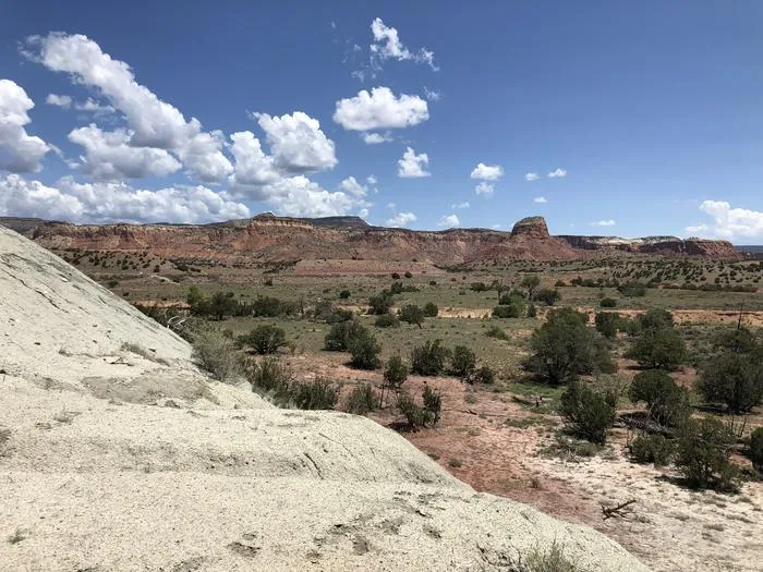 a pretty arid nature landscape with some trees and a blue sky