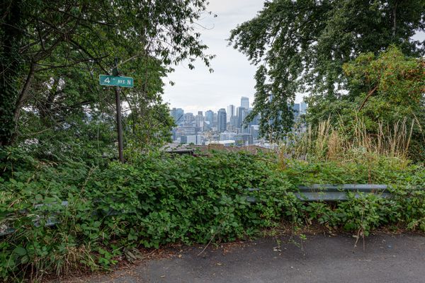 Overgrown viewpoint on the south side of Queen Anne hill, Seattle thumbnail