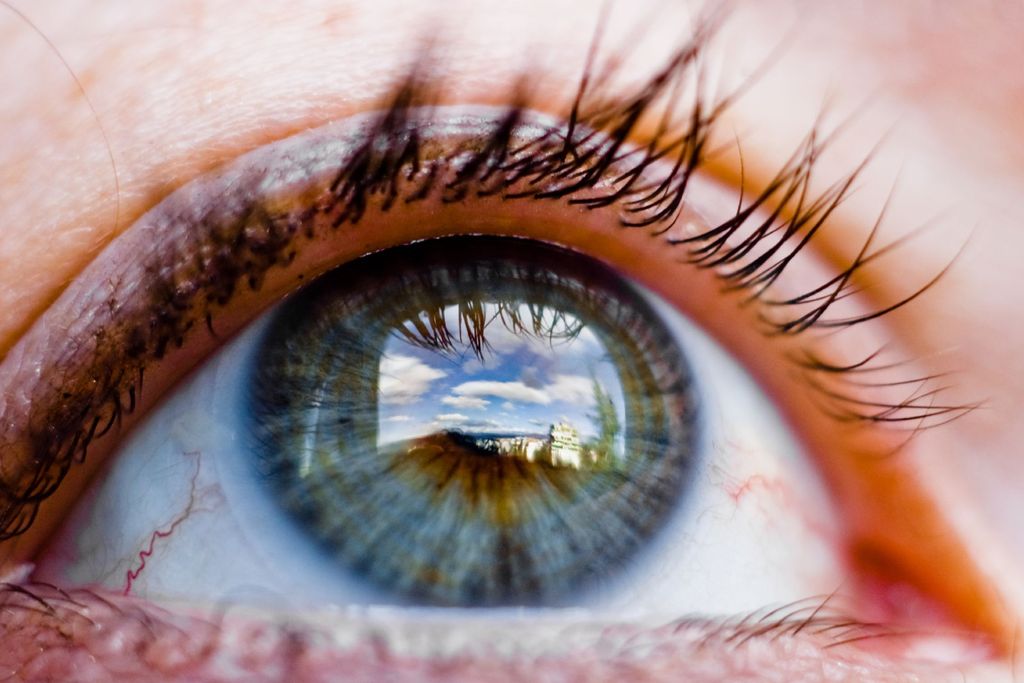 eye