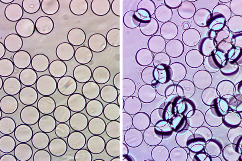 Can a Camera, a QR Code and Some Bubbles Test For E. Coli In Our Food?