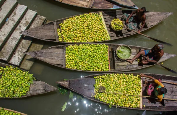 Floating Guava Market in Bangladesh thumbnail