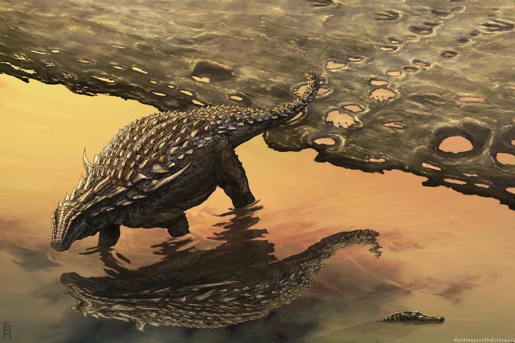 The footprints of ankylosaurs