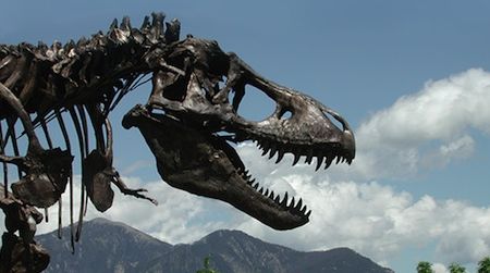 The highly anticipated acquisition of “Wankel’s Rex,” one the most complete T. rex specimens (metal cast shown above) in existence is delayed.