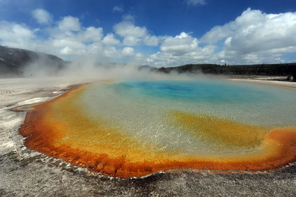 Yellowstone