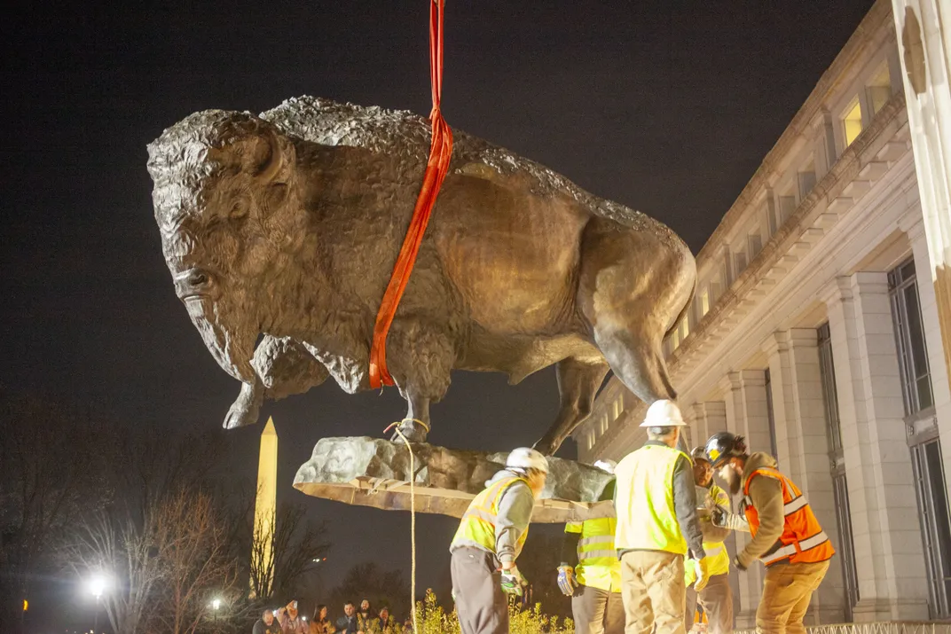 See the 2,500-Pound Bronze Bison as They Arrive at Their New, Permanent Place at the Smithsonian’s National Museum of Natural History