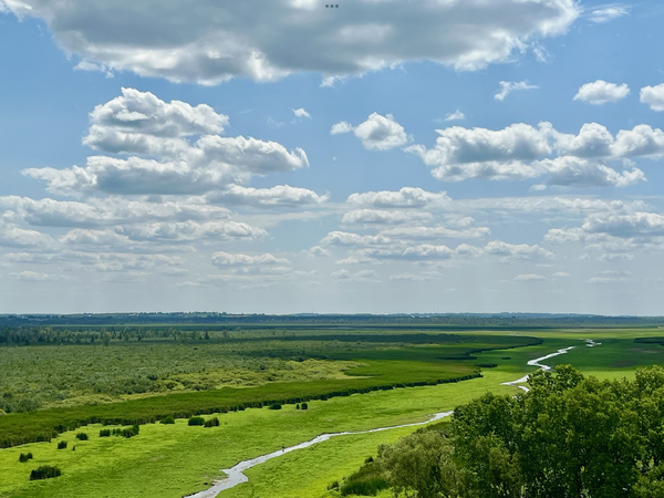 View of the Sheboygan Marsh thumbnail