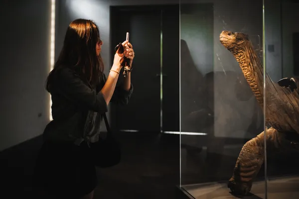 Lonsome George, last of his kind thumbnail