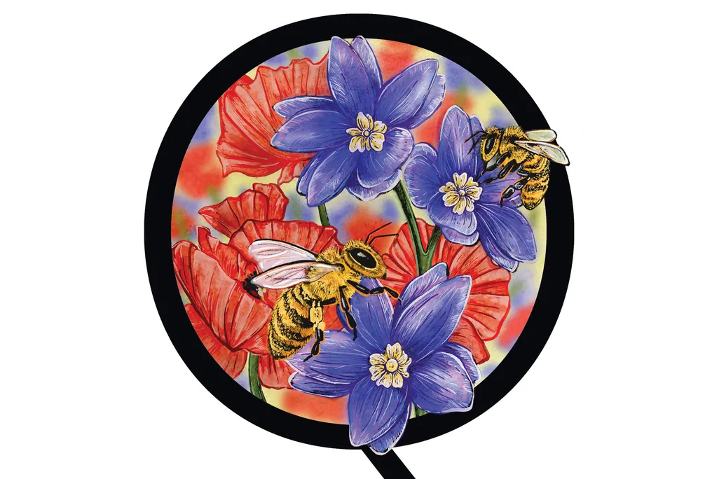Flower illustration