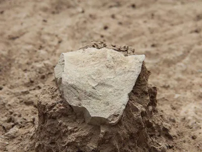 At 3.3 million years old, tools unearthed at the Lomekwi 3 excavation site in Kenya, like the one pictured above, represent the oldest known evidence of stone tools, researchers suggest. 