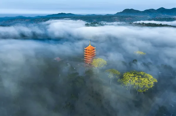 Bat Nha monastery by the yellow flamboyant season thumbnail