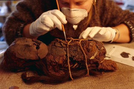 A mummified corpse of a Chinchoro girl between 4,000 and 8,000 years old gets a cleaning. 
