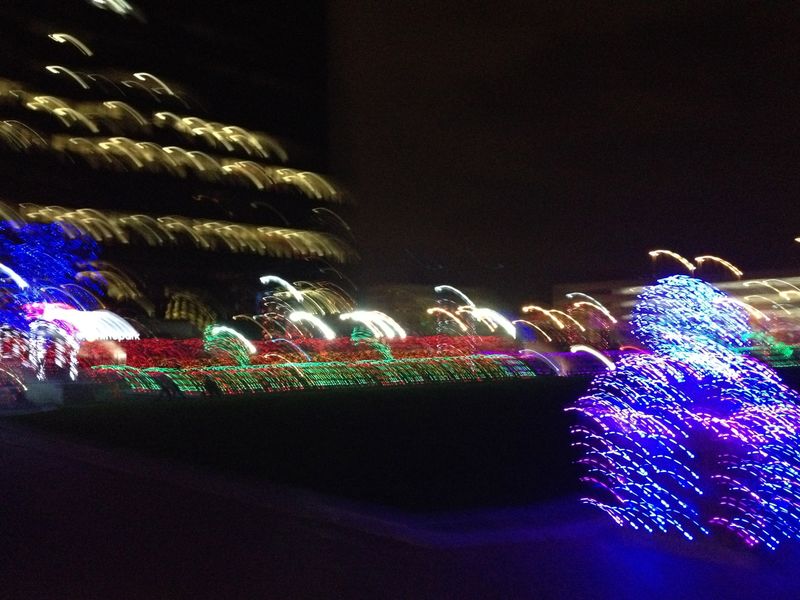 Columbus Commons Christmas Lights Smithsonian Photo Contest