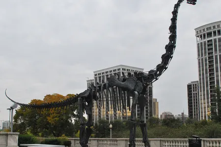 Brachiosaurus