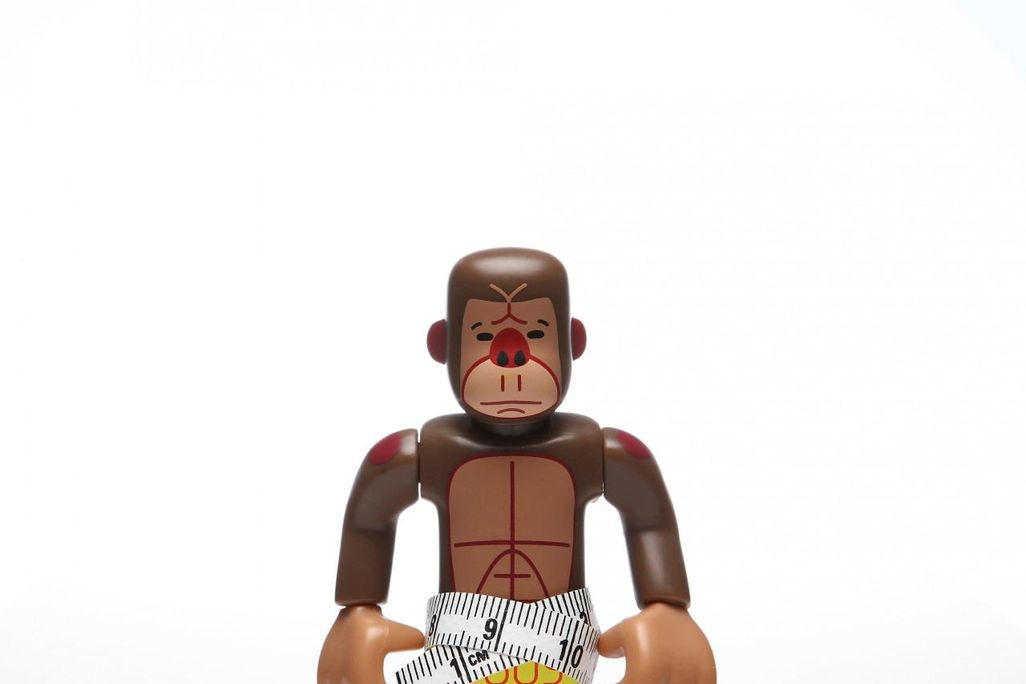 Gorilla