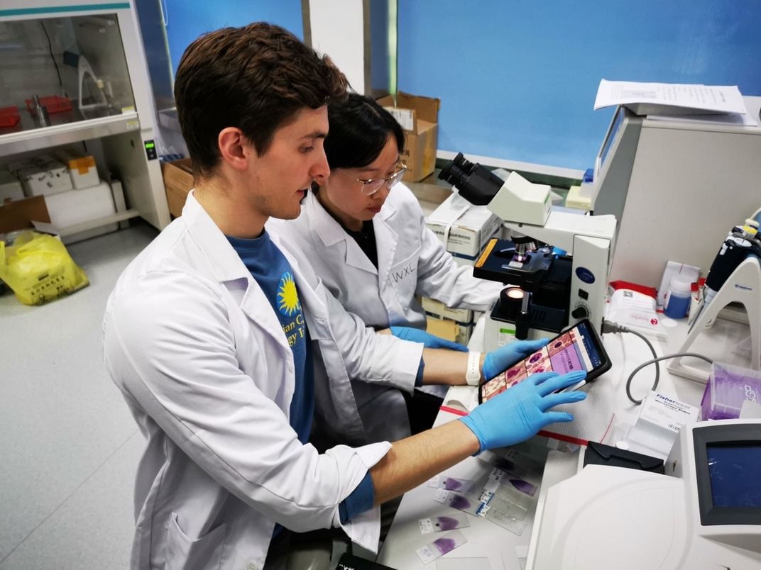 Global Health Program intern and veterinary student Zachary Dvornicky-Raymond provides training in blood cell analysis to veterinary staff at CPB. The two colleagues view a digital tablet with images of cells and look at a sample under a microscope.