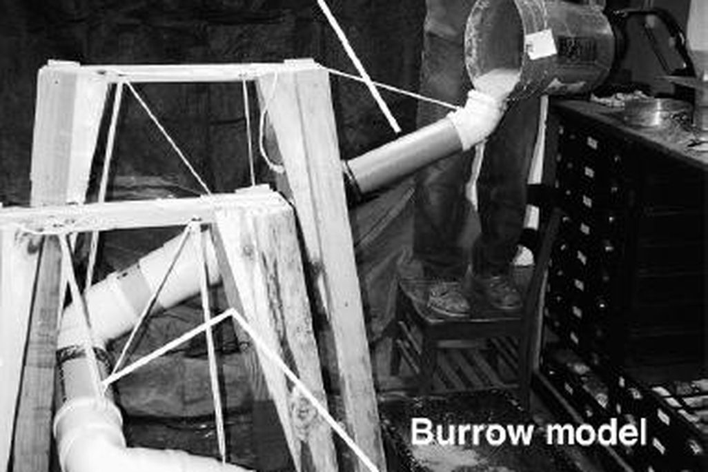 20110520083316dinosaur-burrow-experiment.jpg