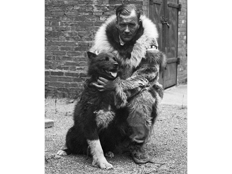 Balto with a man in a fur coat