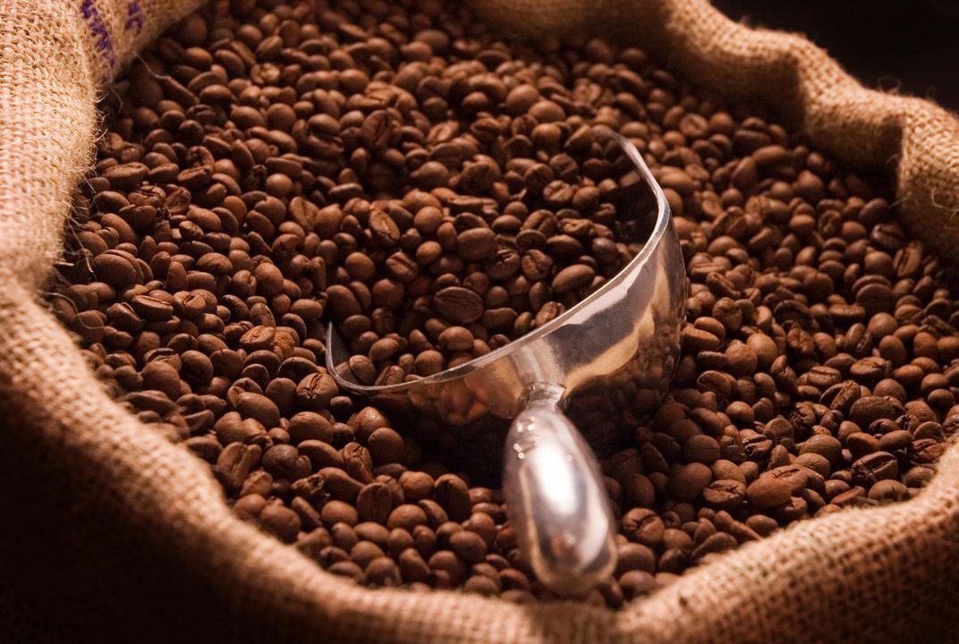 Coffee Beans On Scale by Stocksy Contributor Ibex.media - Stocksy