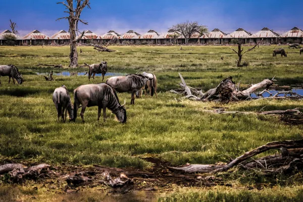 Abandoned Village thumbnail