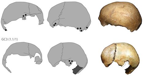 Skull cups from Gough's Cave