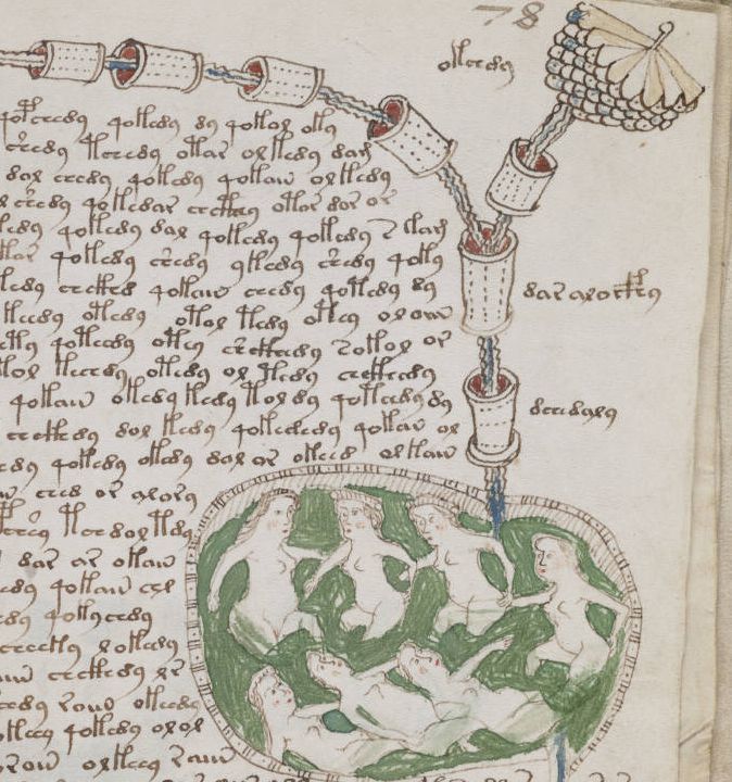 voynich manuscript reproduction