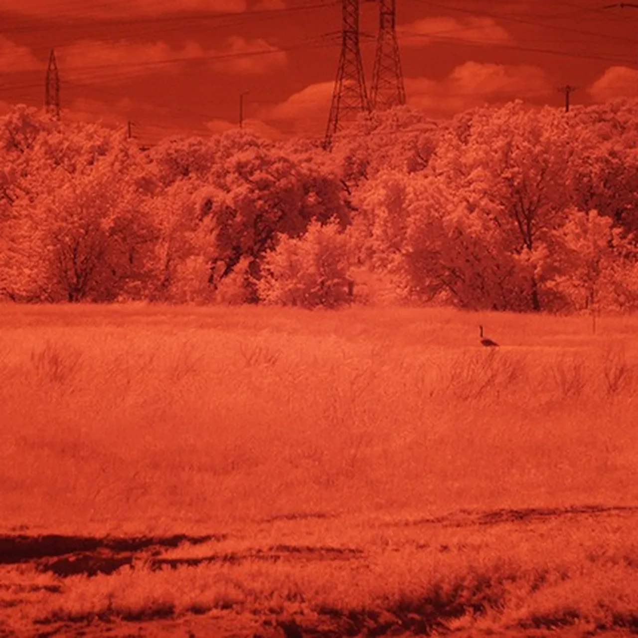 What Is Infrared Vision