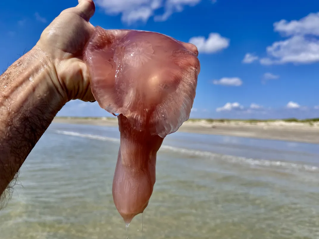 Man's hand holding up large pink blob