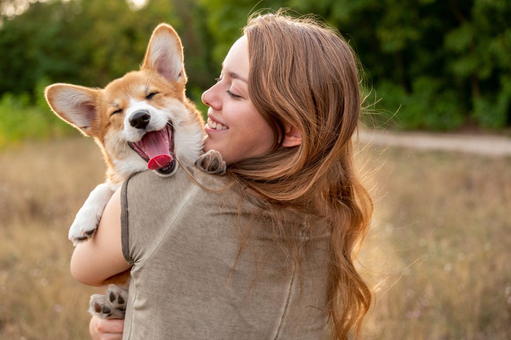 A young woman holding a smiling corgi puppy in a field
