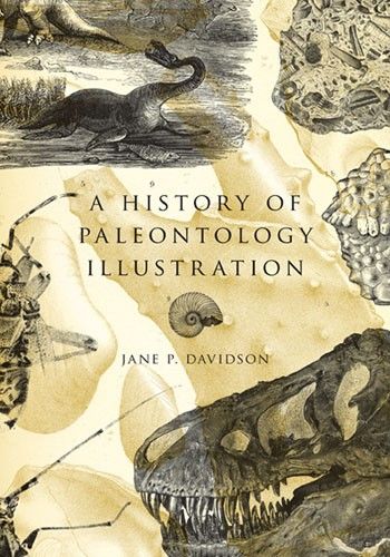 20110520083128history-of-paleo.jpg