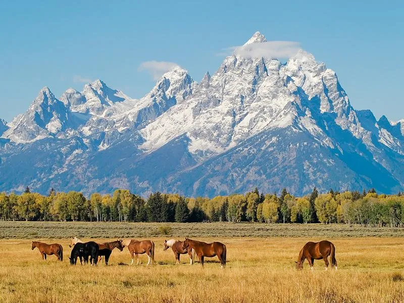 GrandTeton.jpg