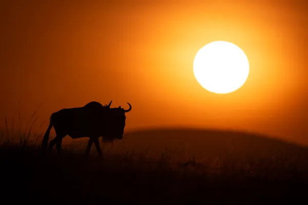 The Last Mile thumbnail