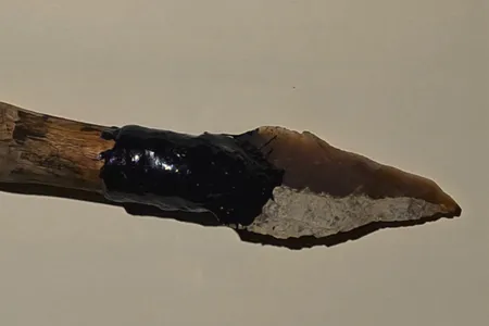 Scientists created a spear using tar they produced from a makeshift hearth to test whether Neanderthals might have used similar methods to obtain tar.