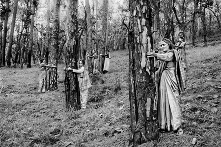 Pamela Singh&#39;s Chipko Tree Huggers of the Himalayas #4, 1994