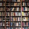 Public Libraries Reveal the Most Borrowed Books From 2023 icon