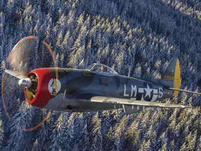 ★ Republic P-47 Thunderbolt ★ The heaviest single-engine aircraft of the war, the P-47 was a tail-sitter with wide-stance landing gear and flat-face radial engine giving it the look of an aggressive bull-dog. Its 2,000-hp Pratt & Whitney R-2800 18-cylinder radial engine, boosted by a General Electric turbosupercharger, endowed it with 400+ mph performance up to 40,000 feet. But it frequently flew low to annihilate armored vehicles, trains, gun emplacements, and anything unlucky enough to be under its flight path.