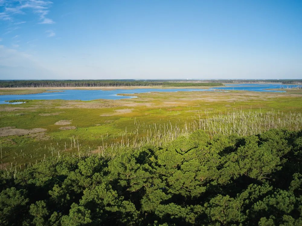 a salt marsh is seen from an aerial view