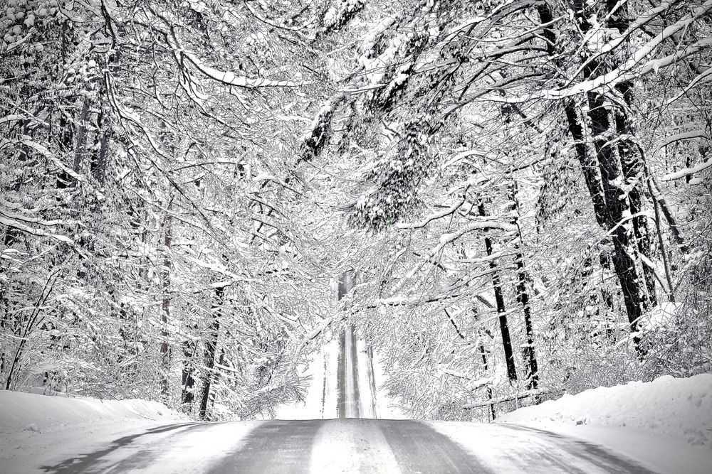 A simple snow-covered road becomes an elegant study in line, texture, contrast and light. A fresh morning snowfall imitates monochrome pen and ink, and a soft luminosity settles over the landscape like a veil.