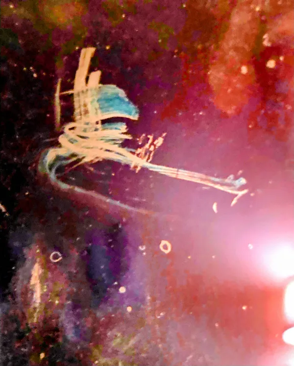 Phoenix Soars thumbnail