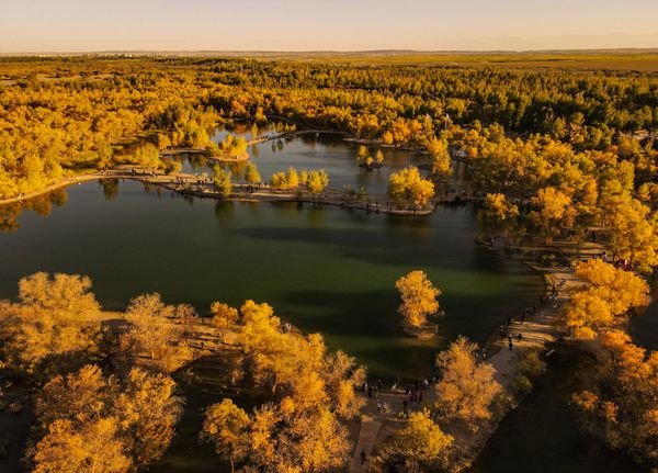 The autumn scenery is pleasant thumbnail