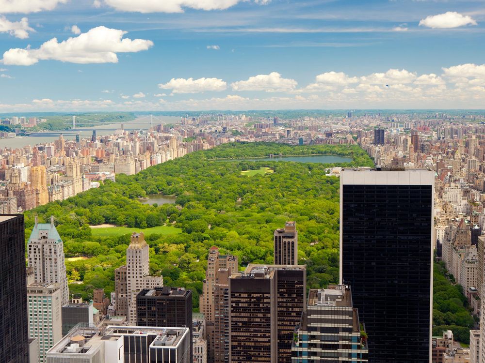 Central Park from Above