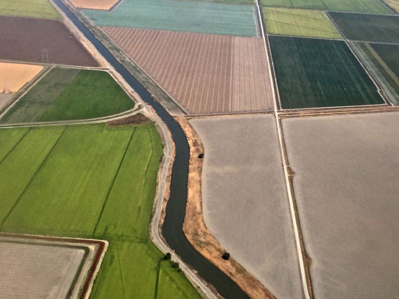 Sacramento Agriculture Farms Smithsonian Photo Contest Smithsonian