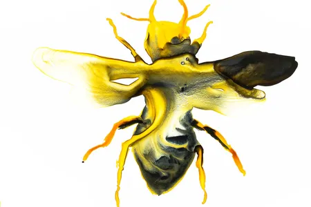 An artists's take on the insect