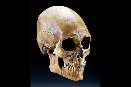 Previous analysis of the Kennewick Man's skull suggested that he might be closely related to Asian populations and Polynesians. But new genetic analysis indicates his ancestral roots are in the Americas.