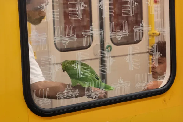 Wrong Habitat, Right Station thumbnail