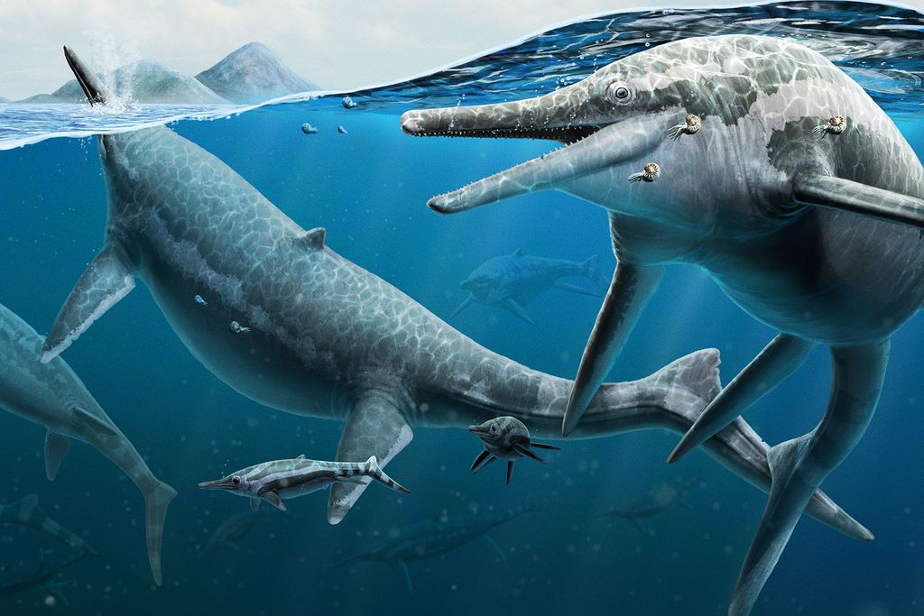 Shonisaurus Illustration