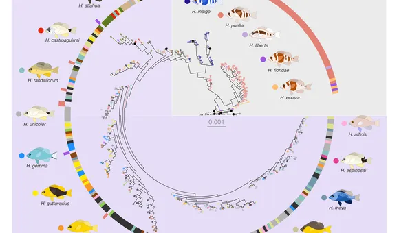 Genome_3